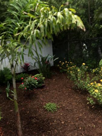 Waverly Place, 1111 SW 2nd St, Fort Lauderdale, Florida 33312, image 1