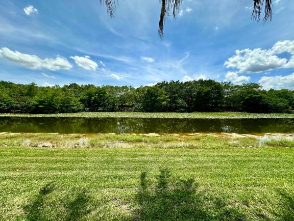 Carrington Lake, 386 Carrington Dr, Weston, Florida 33326, image 2