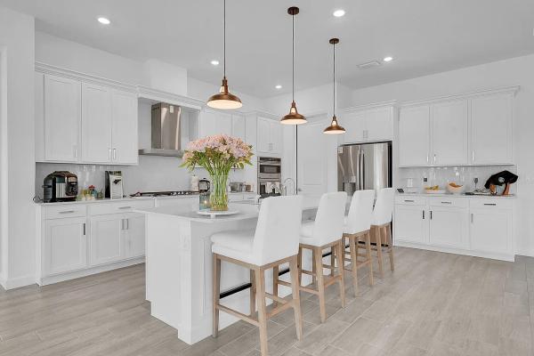 1113 Tangled Orchard Trce, Loxahatchee, Florida 33470, image 2