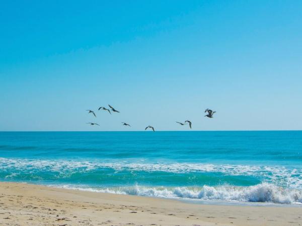 Ocean Harbour North, 5167 N Highway A1a Hwy #504, Fort Pierce, Florida 34949, image 1