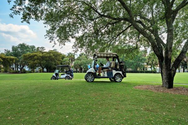 Mizner Country Club, 16014 Laurel Creek Dr, Delray Beach, Florida 33446, image 2