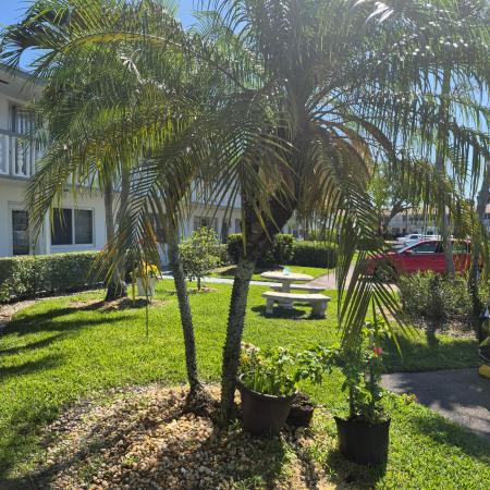 101 Northampton F, West Palm Beach, Florida 33417, image 3