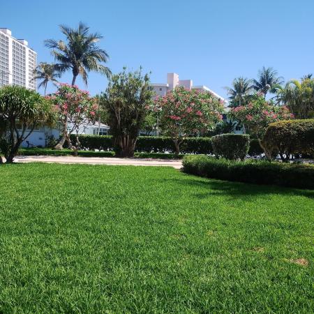 Boca Raton Harbour, 2700 Banyan Rd #0420, Boca Raton, Florida 33432, image 1