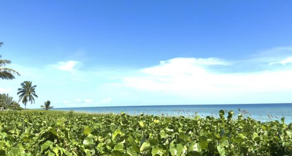 The Greenbrier, 50 Celestial Way #305, Juno Beach, Florida 33408, image 3