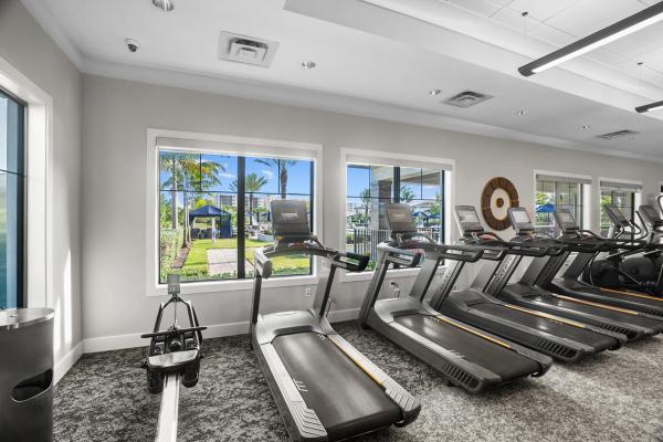 Oak Tree, 4463 Providence Way, Oakland Park, Florida 33309, image 1