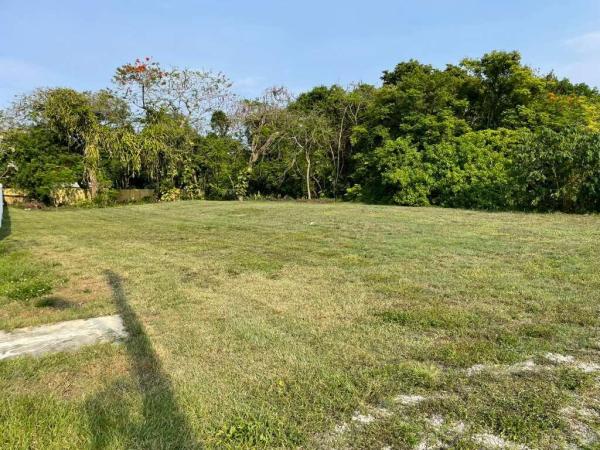 Gedeon, 2630 NW 20th Ave, Oakland Park, Florida 33311, image 3