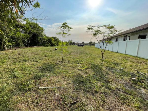 Gedeon, 2630 NW 20th Ave, Oakland Park, Florida 33311, image 2