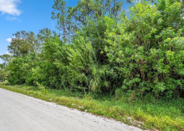 Tbd 122nd Dr DRIVE, The Acreage, Florida 33411, image 1