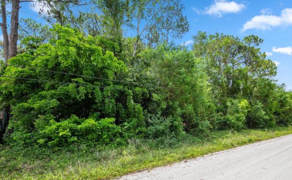Tbd 122nd Dr DRIVE, The Acreage, Florida 33411, image 1
