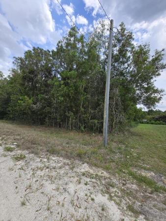 18681 42nd Rd N, Loxahatchee, Florida 33470, image 3