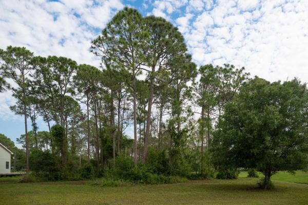 Pine Hollow, 10638 Sugar Pine Dr, Fort Pierce, Florida 34945, image 1