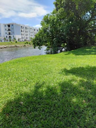 2403 S Waterside Dr #2403, Lake Worth, Florida 33461, image 1