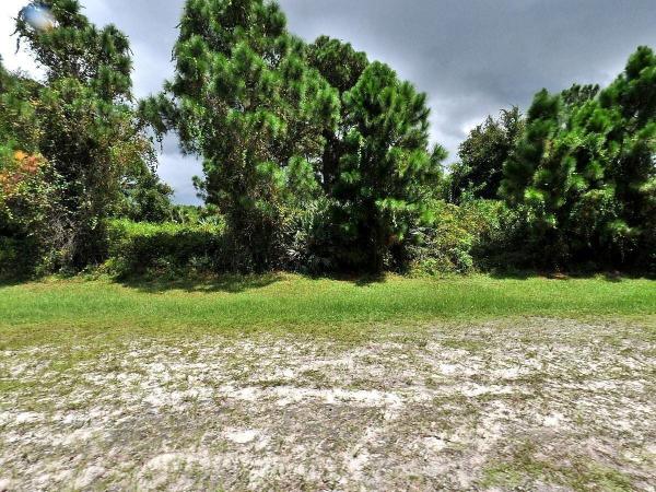 Tulip Park, 3349 SW Port St Lucie St, Port St. Lucie, Florida 34953, image 3
