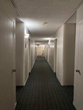Environ 1, 7001 Environ Blvd #403, Lauderhill, Florida 33319, image 2