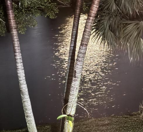 209 Oxford 100, West Palm Beach, Florida 33417, image 1