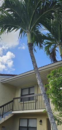Vallhala Village, 22465 SW 61st Way #247, Boca Raton, Florida 33428, image 2