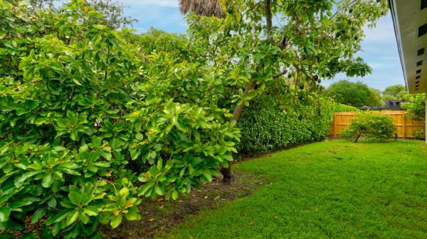 Century Star, 20221 SW 85th Ct, Cutler Bay, Florida 33189, image 1