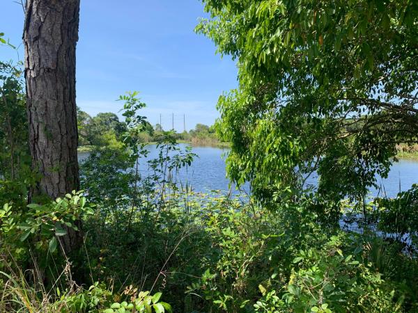 Pine Hollow, 10654 Sugar Pine Dr, Fort Pierce, Florida 34945, image 2