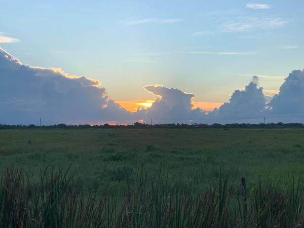 Pine Hollow, 10654 Sugar Pine Dr, Fort Pierce, Florida 34945, image 1