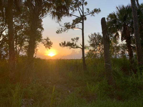 Pine Hollow, 10654 Sugar Pine Dr, Fort Pierce, Florida 34945, image 3