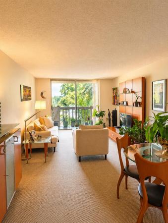 Bayview Palms, 1800 Sans Souci Blvd #424, North Miami, Florida 33181, image 2