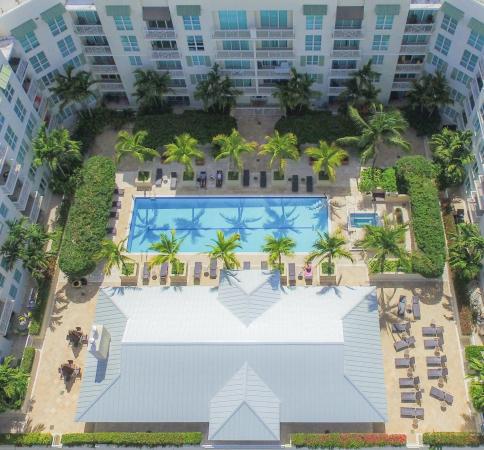 City Palms, 480 Hibiscus St #835, West Palm Beach, Florida 33401, image 3