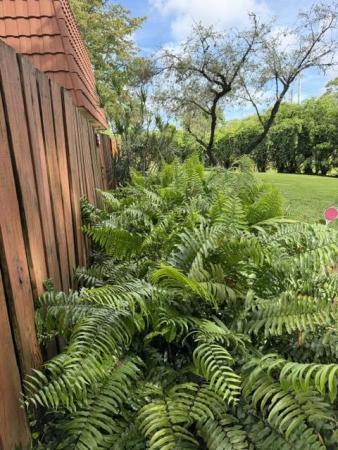 Spanish Wells, 3001 San Clara Dr #4-A, Delray Beach, Florida 33445, image 2