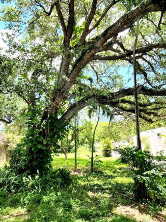 Emerald Hills, 4124 N 32nd Ct, Hollywood, Florida 33021, image 1