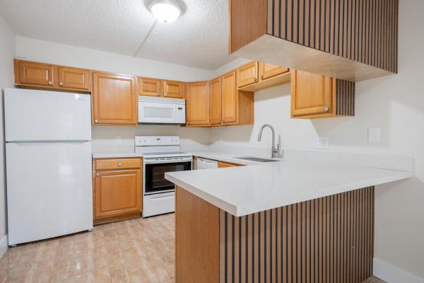Woodlands Of Palm Springs, 317 Woodland Rd, Palm Springs, Florida 33461, image 1