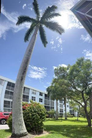 Seagate Of Gulfstream, 2016 S Federal Hwy #404, Boynton Beach, Florida 33435, image 2