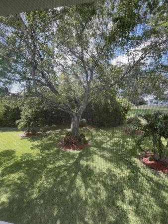 40 Keswick B, Deerfield Beach, Florida 33442, image 1