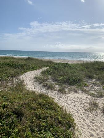Ocean Harbour North, 5167 N Highway A1a Hwy #806, Fort Pierce, Florida 34949, image 1