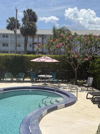 Hampshire Arms, 117 Lehane Ter #210, North Palm Beach, Florida 33408, image 1