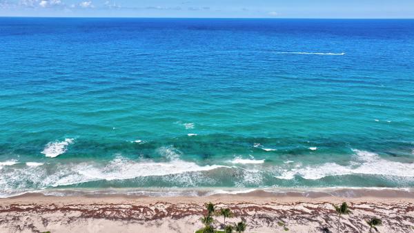 East Shore, 217 Plantation Rd, Palm Beach, Florida 33480, image 1