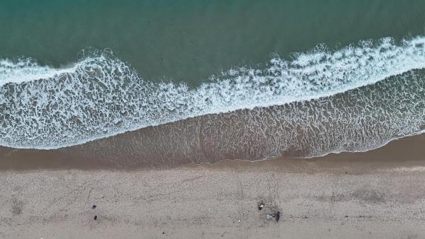 Ocean Club, 4020 Galt Ocean Dr #409, Fort Lauderdale, Florida 33308, image 1