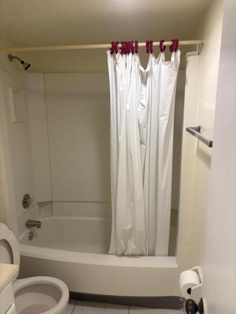 Wood Hue, 4210 NW 21st St #117, Lauderhill, Florida 33313, image 3