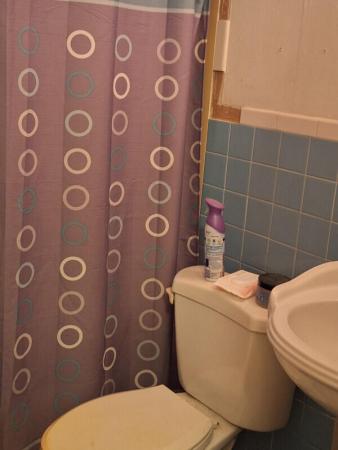 The Pines At Lawnwood, 1005 Apple St, Fort Pierce, Florida 34950, image 3