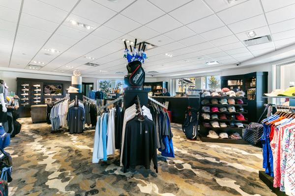 Gemini, 336 Golfview Rd #619, North Palm Beach, Florida 33408, image 3