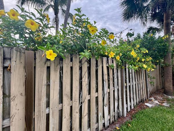 Seville, 218 Seville Rd, West Palm Beach, Florida 33405, image 3