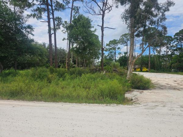 76 76th Rd N, West Palm Beach, Florida 33412, image 1