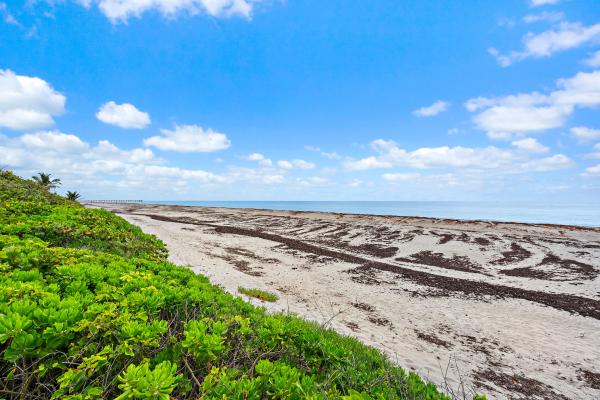 The Surf, 900 Ocean Dr #202, Juno Beach, Florida 33408, image 1