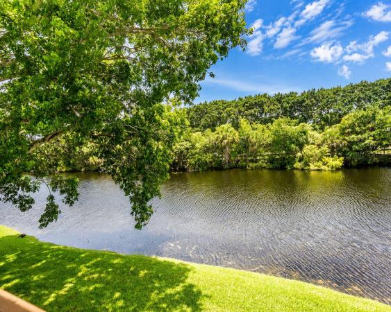 The Gardens, 9310 SW 23rd St #4003, Davie, Florida 33324, image 1