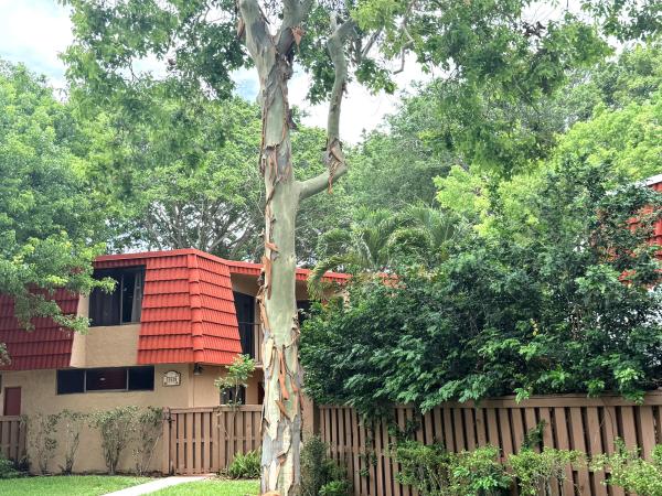 Banyan Lake, 8255 Severn Dr #D, Boca Raton, Florida 33433, image 1
