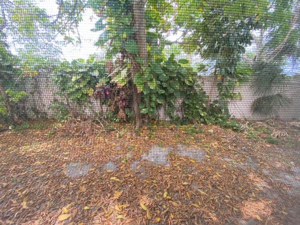 Oakland Estates, 5139 NW 43rd Ct, Lauderdale Lakes, Florida 33319, image 2