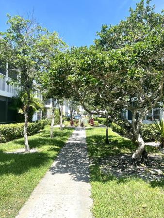 Imperial Point Colonnades, 2201 NE 66th St #1306, Fort Lauderdale, Florida 33308, image 1