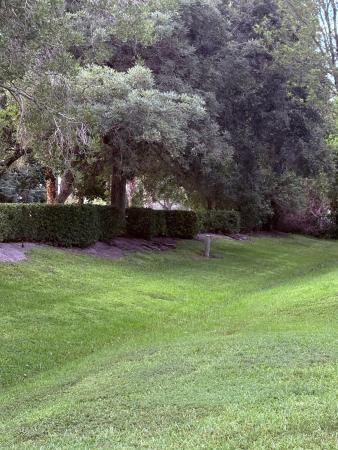 Fairways At Royal Palm Beach, 72 Fairway Ln, Royal Palm Beach, Florida 33411, image 2