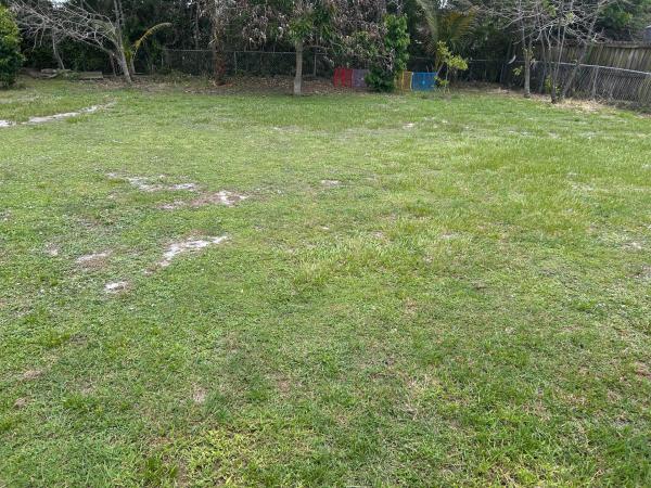 Lyngate, 2029 SE Hideaway Cir, Port St. Lucie, Florida 34952, image 2