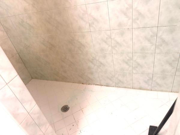 17770 75th Pl N, Loxahatchee, Florida 33470, image 1