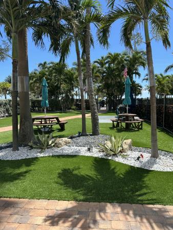 Jamaica House Apartments, 305 N Pompano Beach Blvd #205, Pompano Beach, Florida 33062, image 3