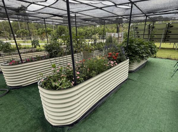 Jupiter Farms, 11525 N 157th Pl Pl, Jupiter, Florida 33478, image 1